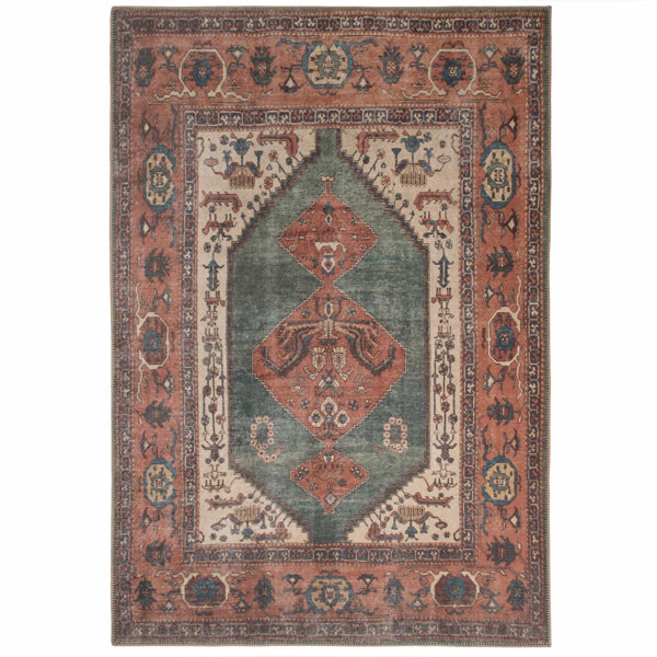 Kukoon Green Terracotta Distressed Traditional Rug Wayfair.co.uk